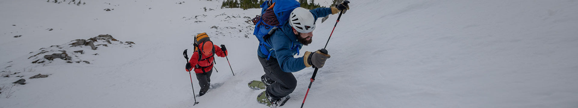 Trekking Poles